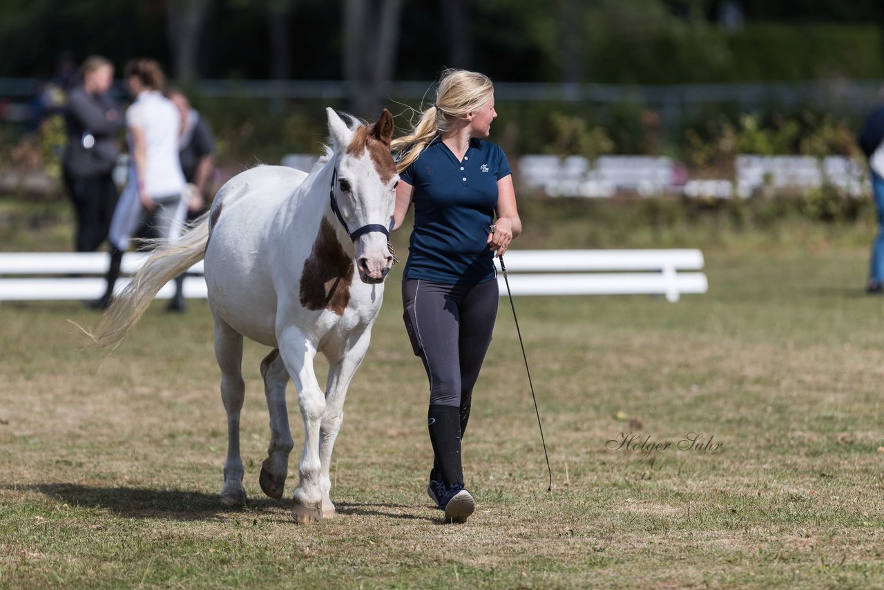 Bild 44 - Pony Akademie Turnier